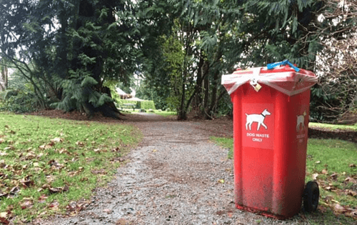 How to dispose of or recycle Dog waste
